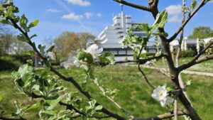 Familienbildung HPH Ludwigshafen