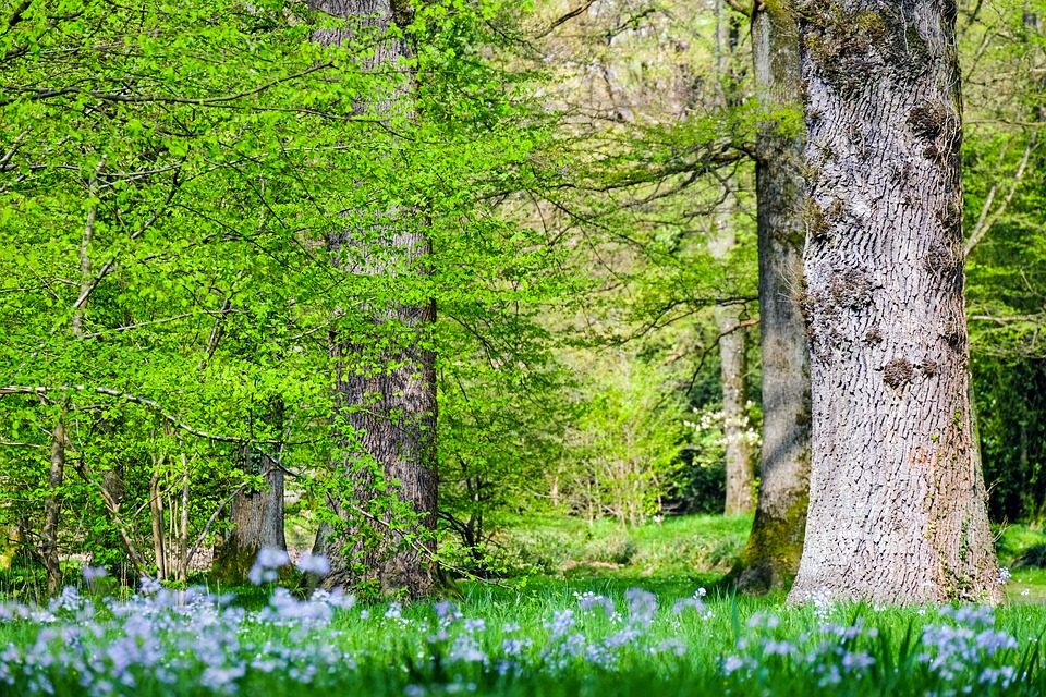ENDLICH RAUS: Spiel & Spaß im FrühlingsWald