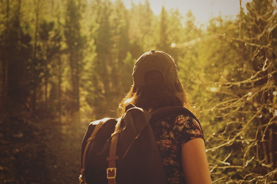 WaldBaden: WALDzeit- AusZEIT für Frauen